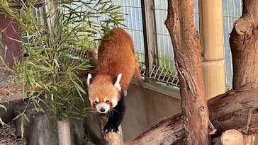 熱川バナナワニ園に投稿された画像（2024/5/4）