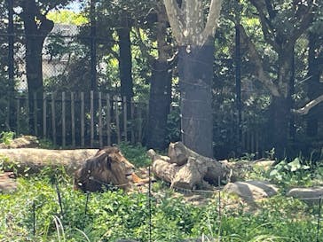 到津の森公園に投稿された画像（2024/5/4）
