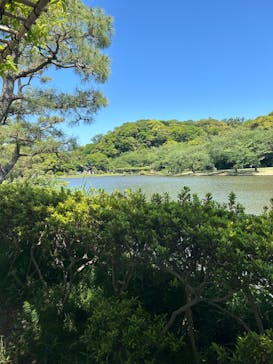 三溪園に投稿された画像（2024/5/4）