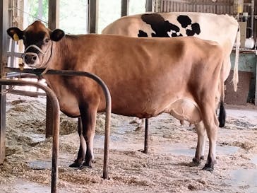 成田ゆめ牧場に投稿された画像（2024/5/4）