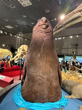 特別展「大哺乳類展３－わけてつなげて大行進」に投稿された画像（2024/5/4）