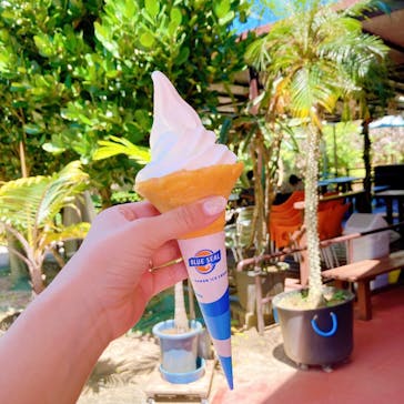 おきなわワールドに投稿された画像（2024/5/4）