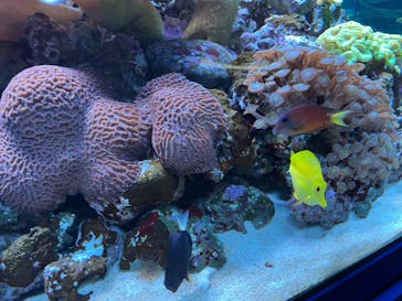 鴨川シーワールドに投稿された画像（2024/5/4）