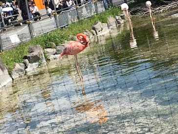 東武動物公園に投稿された画像（2024/5/4）