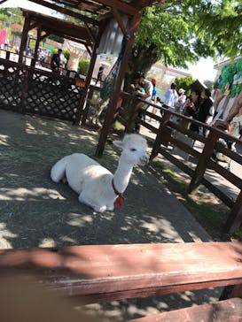 東武動物公園に投稿された画像（2024/5/4）