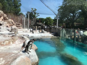 東武動物公園に投稿された画像（2024/5/4）