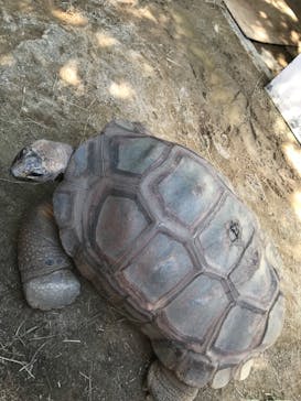 東武動物公園に投稿された画像（2024/5/4）