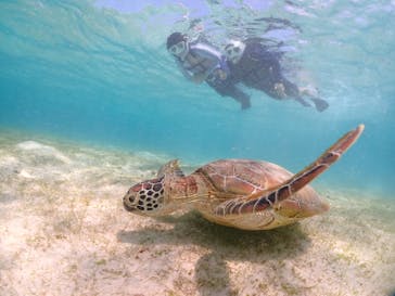 宮古島マリンショップSmileyに投稿された画像（2024/5/4）