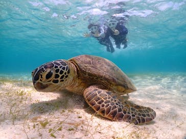 宮古島マリンショップSmileyに投稿された画像（2024/5/4）