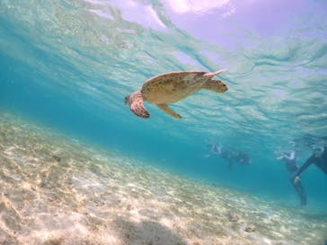 宮古島マリンショップSmileyに投稿された画像（2024/5/4）