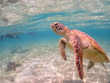 宮古島マリンショップSmileyに投稿された画像（2024/5/4）