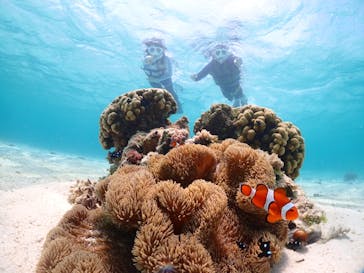 宮古島マリンショップSmileyに投稿された画像（2024/5/4）