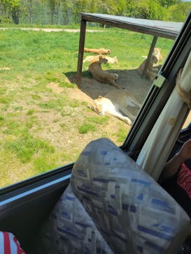 東北サファリパークに投稿された画像（2024/5/4）