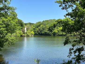 ムーミンバレーパークに投稿された画像（2024/5/4）