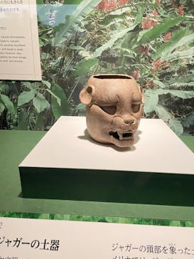 特別展「古代メキシコ ーマヤ、アステカ、テオティワカン」に投稿された画像（2024/5/4）