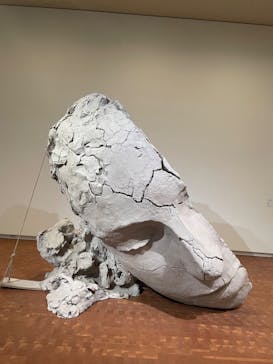 特別展「古代メキシコ ーマヤ、アステカ、テオティワカン」に投稿された画像（2024/5/4）