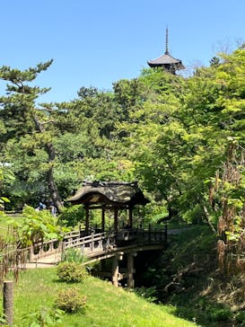 三溪園に投稿された画像（2024/5/4）