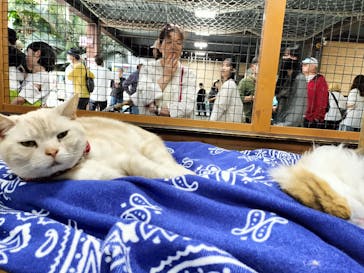 神戸どうぶつ王国に投稿された画像（2024/5/4）