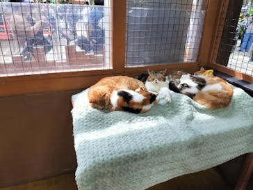 神戸どうぶつ王国に投稿された画像（2024/5/4）