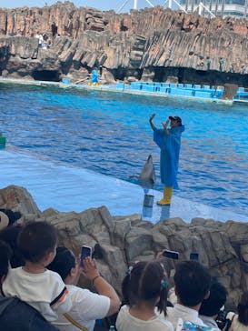 名古屋港水族館に投稿された画像（2024/5/4）