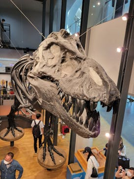 福井県立恐竜博物館に投稿された画像（2024/5/4）