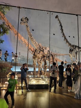 福井県立恐竜博物館に投稿された画像（2024/5/4）