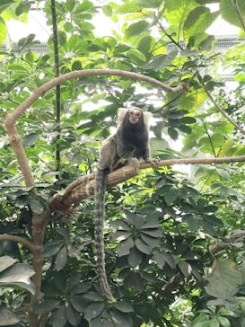 神戸どうぶつ王国に投稿された画像（2024/5/4）