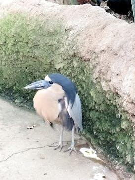 神戸どうぶつ王国に投稿された画像（2024/5/4）