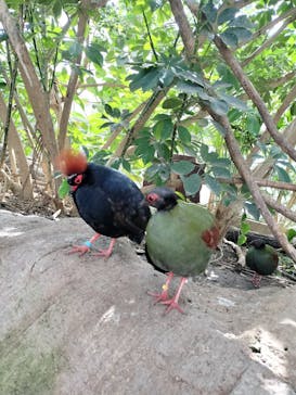 神戸どうぶつ王国に投稿された画像（2024/5/4）