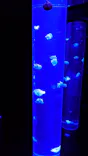 サンシャイン水族館に投稿された画像（2024/5/4）