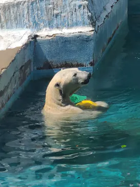 天王寺動物園に投稿された画像（2024/5/4）
