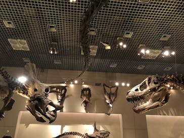 国立科学博物館に投稿された画像（2024/5/4）