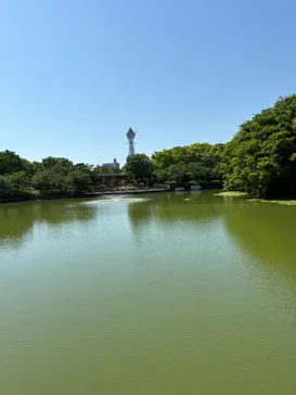 天王寺動物園に投稿された画像（2024/5/4）