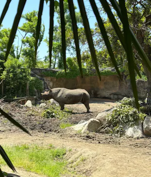 天王寺動物園に投稿された画像（2024/5/4）