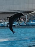名古屋港水族館に投稿された画像（2024/5/4）