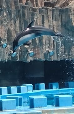 名古屋港水族館に投稿された画像（2024/5/4）