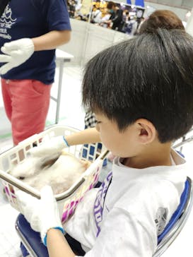 Pet博2025 幕張に投稿された画像（2024/5/4）