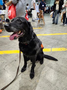 Pet博2025 幕張に投稿された画像（2024/5/4）