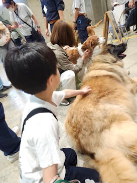 Pet博2025 幕張に投稿された画像（2024/5/4）