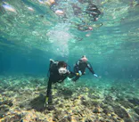 武藤潜水に投稿された画像（2024/5/4）