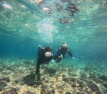 武藤潜水に投稿された画像（2024/5/4）