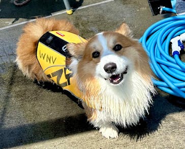 わんダフルネイチャーヴィレッジに投稿された画像（2024/5/4）