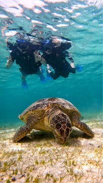 宮古島 ADVENTURE PiPi（ミヤコジマ アドベンチャー ピピ）に投稿された画像（2024/5/4）