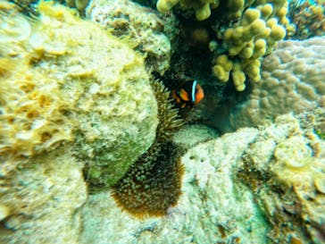 宮古島 ADVENTURE PiPi（ミヤコジマ アドベンチャー ピピ）に投稿された画像（2024/5/4）