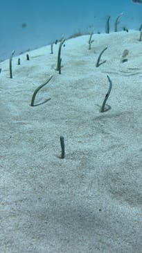 アクアワールド茨城県大洗水族館に投稿された画像（2024/5/4）