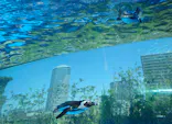 サンシャイン水族館に投稿された画像（2024/5/4）