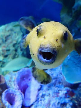 サンシャイン水族館に投稿された画像（2024/5/4）