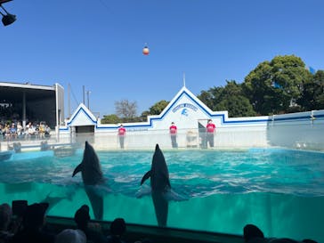 しながわ水族館に投稿された画像（2024/5/4）