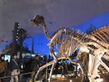 福井県立恐竜博物館に投稿された画像（2024/5/4）