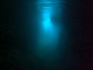 武藤潜水に投稿された画像（2024/5/4）